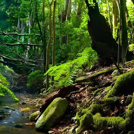 Miramar 4 Prázdninový dům San Sebastián de la Gomera