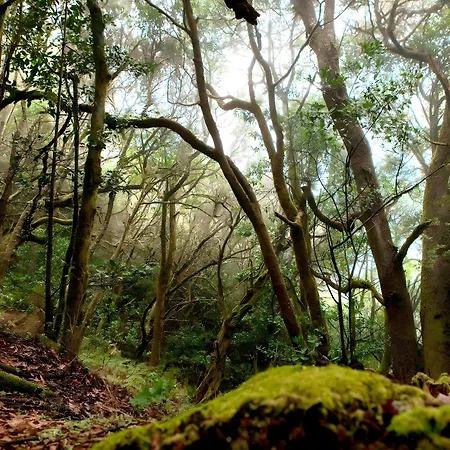 Miramar 4 Prázdninový dům San Sebastián de la Gomera