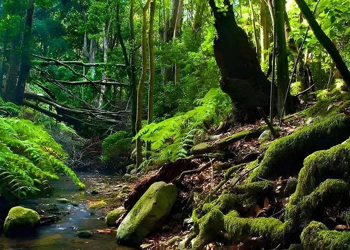 Miramar 4 Casa vacanze San Sebastián de la Gomera